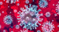 Researchers have identified a “potent” mixture of antibodies that could be used together as a “cocktail” to help to treat Covid-19 infections and protect people who are at risk from […]